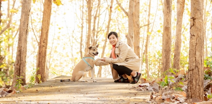 ペットのイメージ