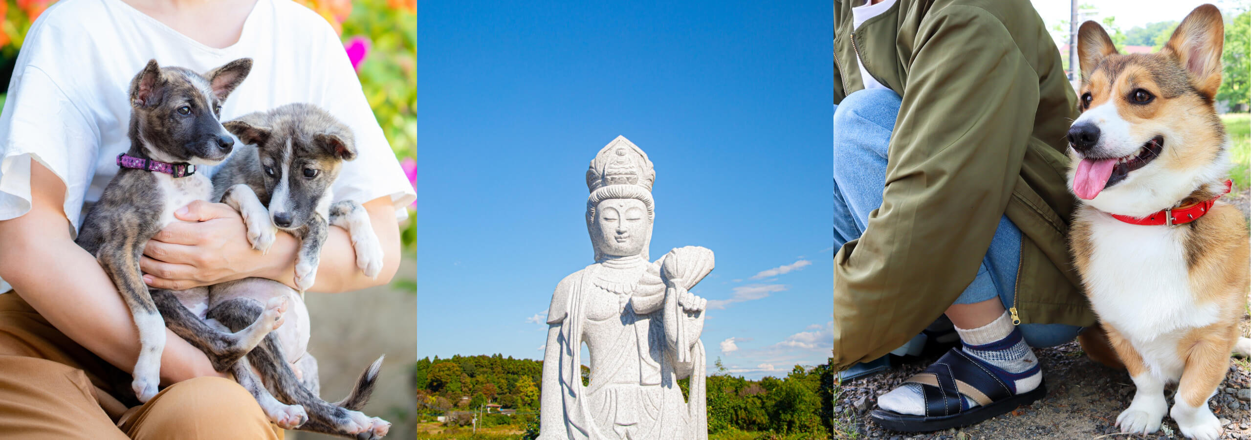 お客様の声イメージ